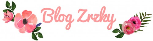 blog zrzky